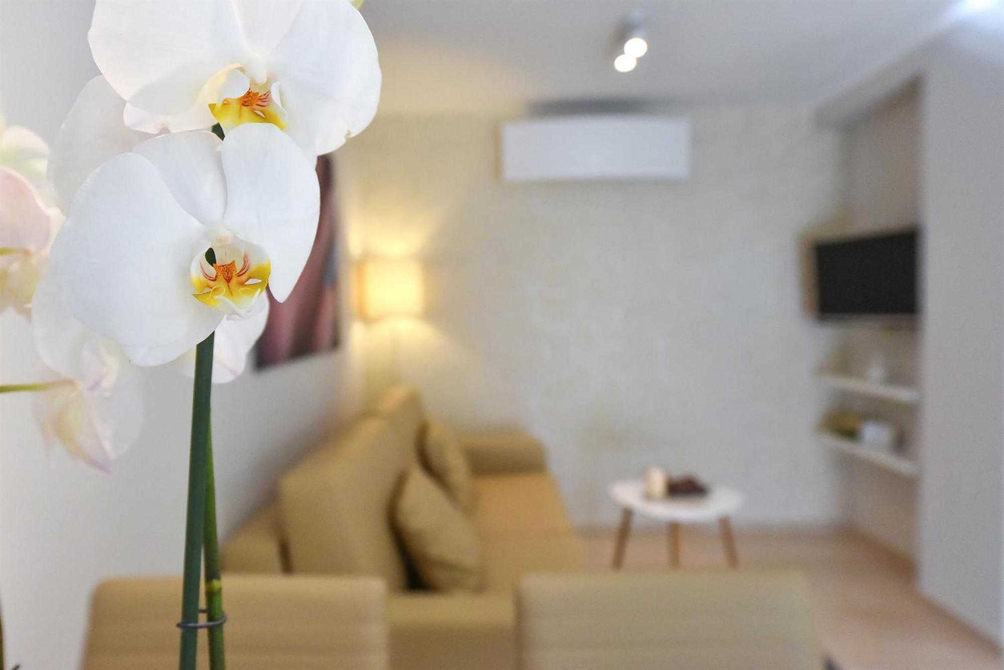 Villa Slavica 1 โวดีเซ ห้อง รูปภาพ