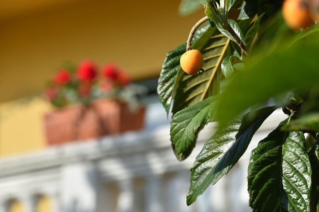 Villa Slavica 1 โวดีเซ ภายนอก รูปภาพ